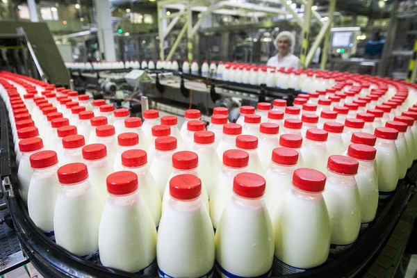 В Узбекистане в декабре 2022 года было произведено 552,7 тонны йогурта