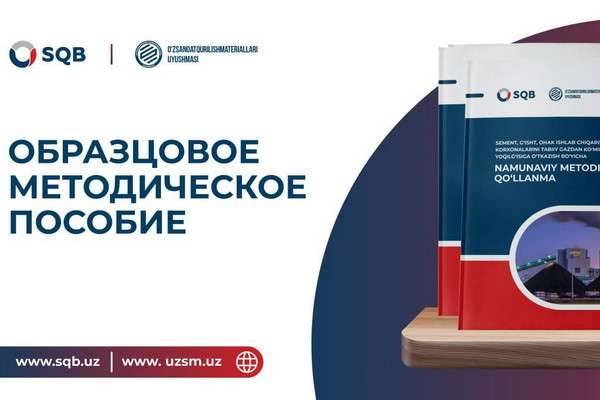 Создано пособие по переводу предприятий с природного газа на угольное топливо