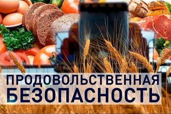 Проанализирована ситуация с продовольственной безопасностью и питанием в Европе и Центральной Азии