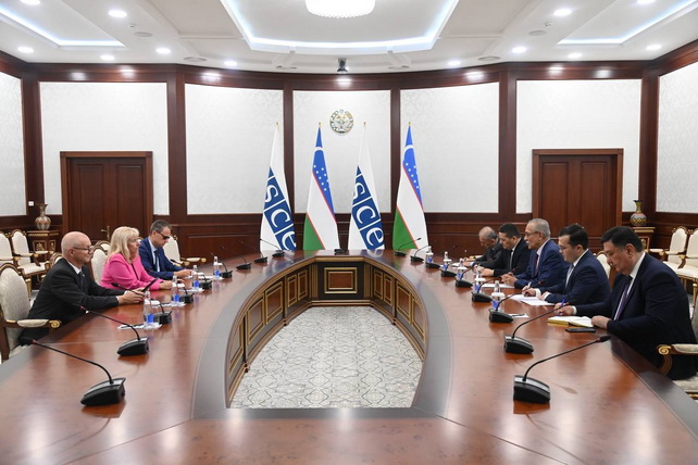 Special Representative of Uzbekistan for Afghanistan Meets OSCE Envoy
