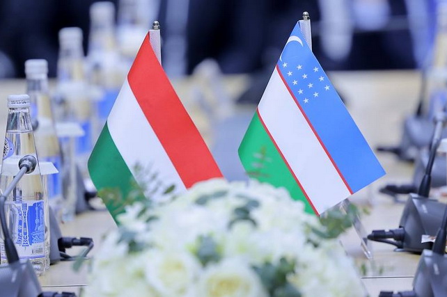 Узбекистан и Венгрия расширяют межрегиональное сотрудничество