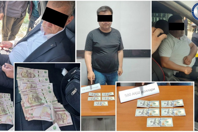 В Кашкадарьинской области раскрыты факты мошенничества, совершённые тремя адвокатами