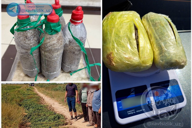 В Ташкентской и Ферганской областях раскрыты наркопреступления