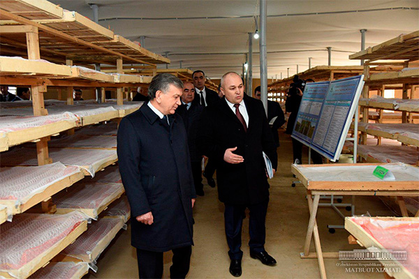 Президент ознакомился с инновационной гренарней