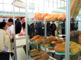 Две выставки ITE Uzbekistan проходят в Ташкенте