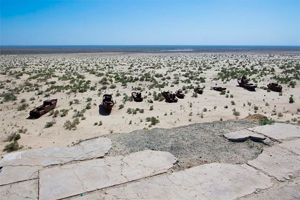 Measures to accelerate the creation of “green coverings” in the drying areas of Aral Sea approved