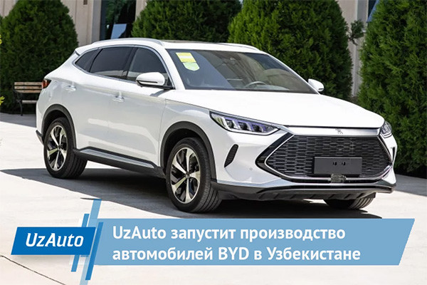 BYD dealers not to provide warranty service for "gray" cars