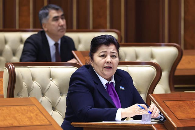 Сенат одобрил изменения в Закон о Государственном бюджете на 2025 год