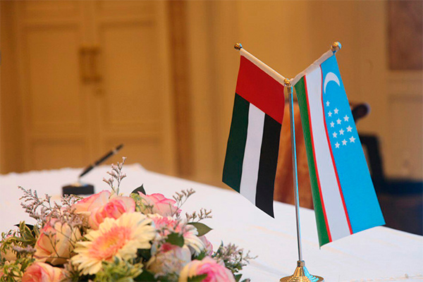 Uzbekistan and the UAE hold political consultations