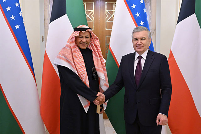 Ўзбекистон Президенти "Gulf Care General Trading" компанияси раҳбари билан учрашди