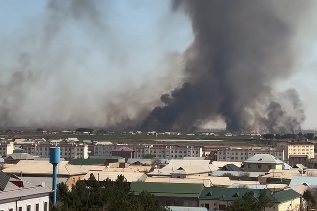 Surxondaryo viloyatida Afg‘oniston bilan chegaradagi yong‘in haqida rasmiy izoh berildi