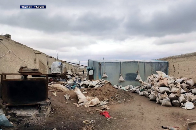 В Навоийской области пресечена незаконная добыча золота