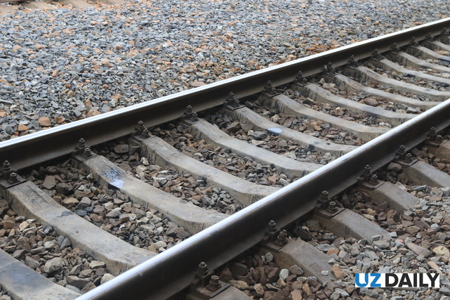 Russia Offers Support for China–Central Asia Railway