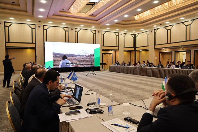 В Узбекистане запустили проект развития верблюдоводства