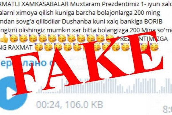 Минфин опроверг сообщения о выплатах средств ко Дню защиты детей