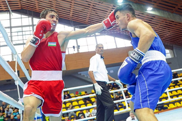 Fourteen boxers of Uzbekistan reach the semi-finals of the Strandja tournament