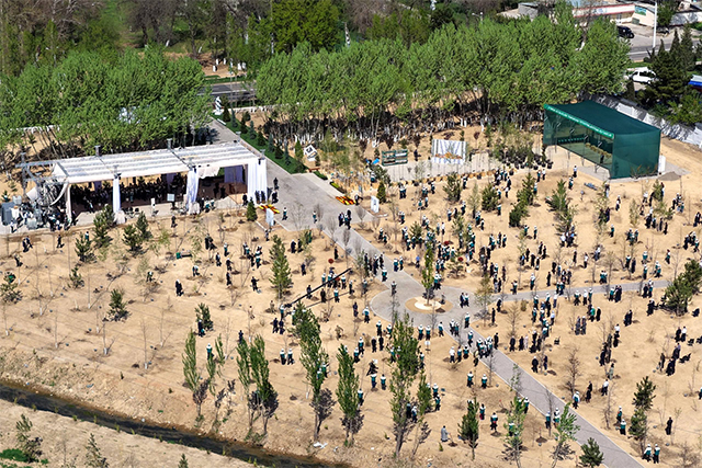 Депутатам Закпалаты выделят по 412 млн сумов на создание зеленых зон