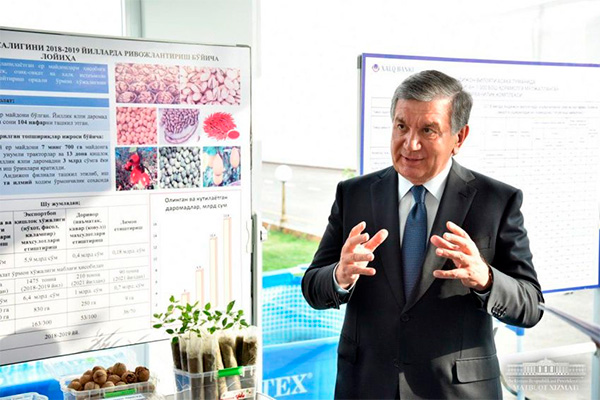 Президент Узбекистана поручил усилить меры экономии бюджетных средств в 2025 году