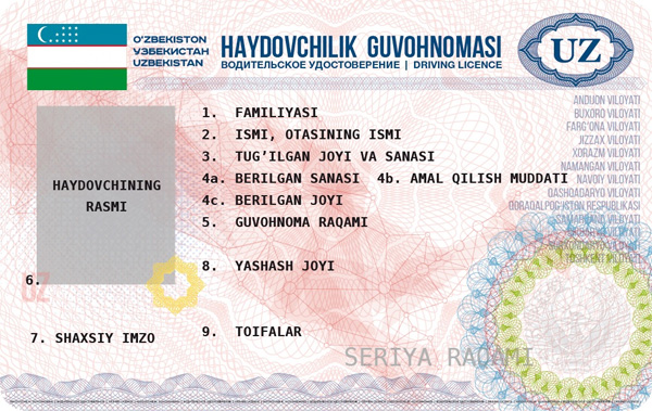 Citizens can apply for replacement driver’s license online