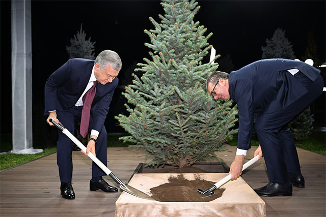 Президенты Узбекистана и Сербии вместе посадили дерево