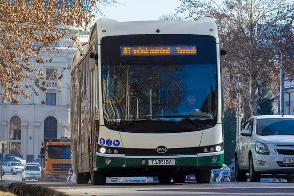 Для Ташкента будет закуплено 200 автобусов BYD
